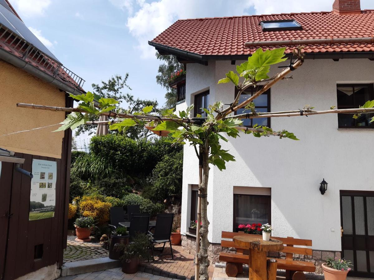 Ferienwohnung Reissmann Heinsdorfergrund Luaran gambar