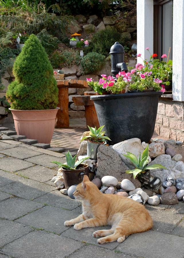 Ferienwohnung Reissmann Heinsdorfergrund Luaran gambar